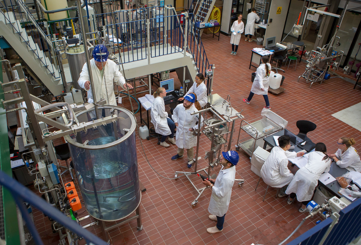 Summer university students in Pilot Plant